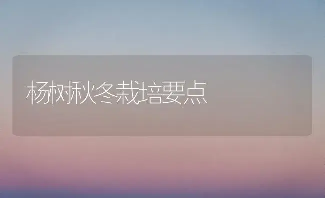 杨树秋冬栽培要点 | 植物科普