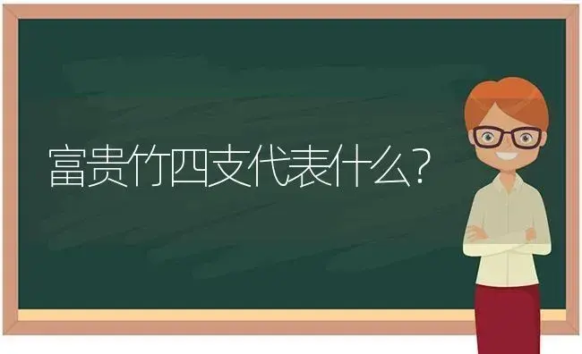 富贵竹四支代表什么？ | 植物问答