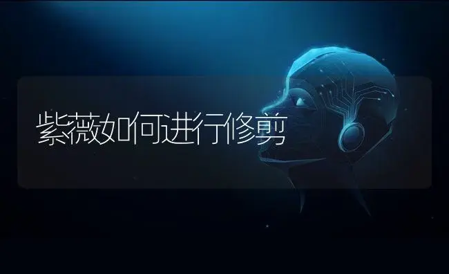 紫薇如何进行修剪 | 植物科普