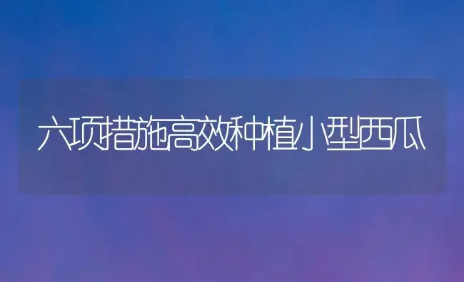 六项措施高效种植小型西瓜 | 植物科普