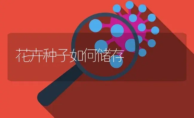 花卉种子如何储存 | 植物知识