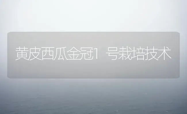 黄皮西瓜金冠1号栽培技术 | 植物科普