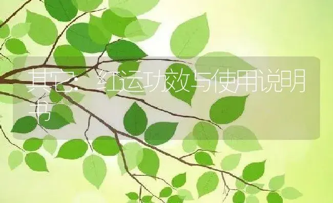 其它：红运 | 适用防治对象及农作物使用方法说明书 | 植物资料