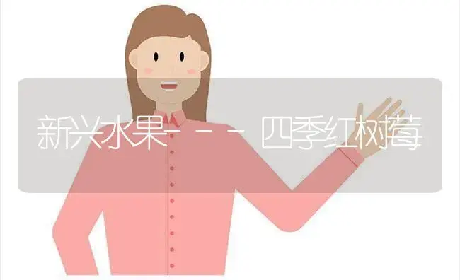 新兴水果---四季红树莓 | 植物科普