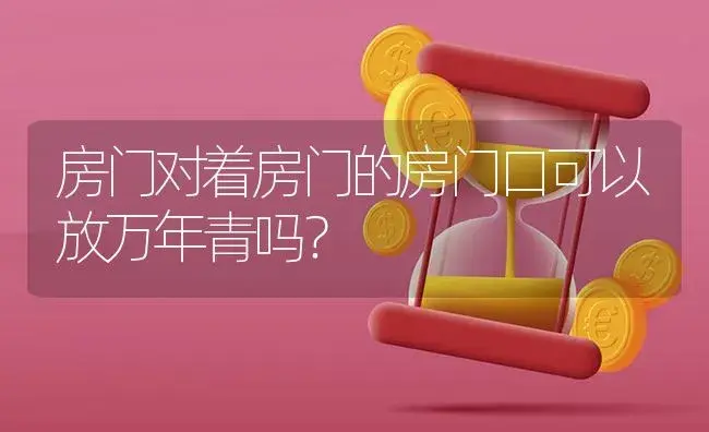 房门对着房门的房门口可以放万年青吗？ | 植物问答