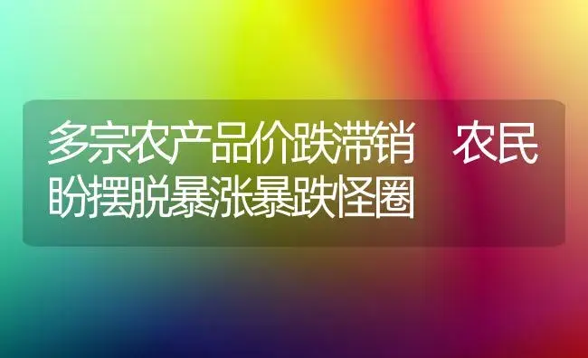 多宗农产品价跌滞销 农民盼摆脱暴涨暴跌怪圈 | 植物百科