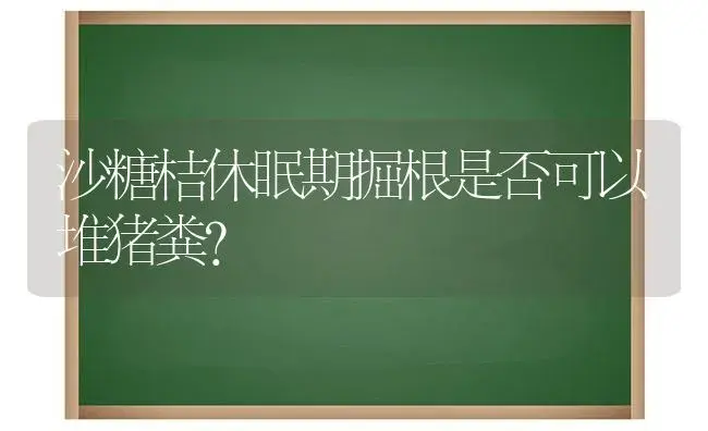 沙糖桔休眠期掘根是否可以堆猪粪？ | 植物科普