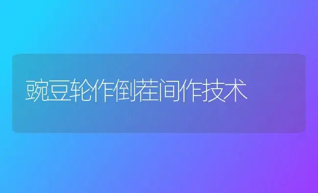 雪峰小玉红无籽（西瓜） | 植物科普