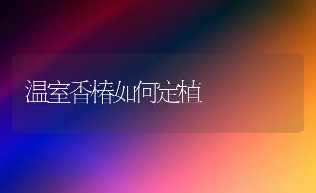 温室香椿如何定植 | 植物科普