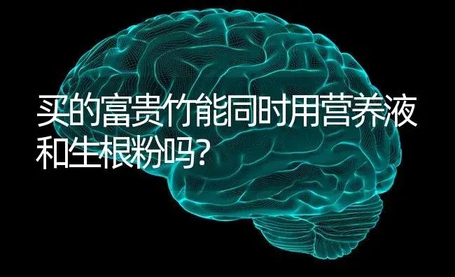 买的富贵竹能同时用营养液和生根粉吗？ | 植物问答