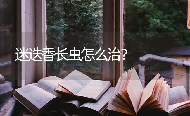 迷迭香长虫怎么治？ | 植物问答