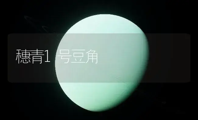 穗青1号豆角 | 植物百科