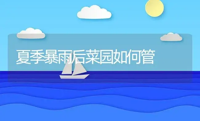 夏季暴雨后菜园如何管 | 植物资料