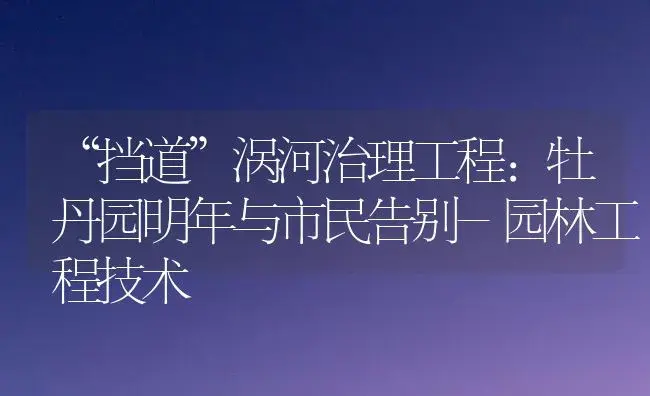 “挡道”涡河治理工程：牡丹园明年与市民告别-园林工程技术 | 植物知识