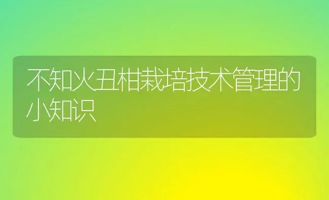 不知火丑柑栽培技术管理的小知识 | 植物百科