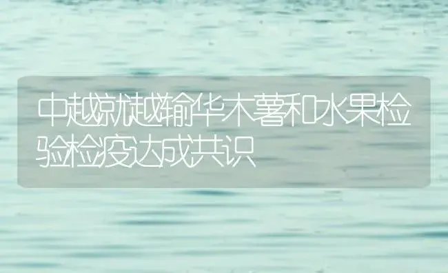 中越就越输华木薯和水果检验检疫达成共识 | 植物百科