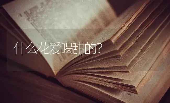 什么花爱喝甜的？ | 植物问答