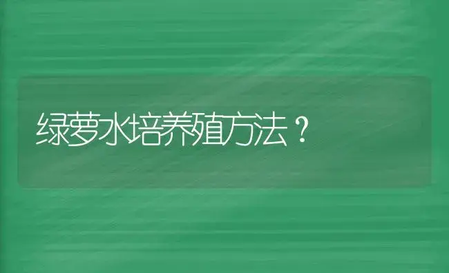 早稻田大学是常春藤吗？ | 植物问答