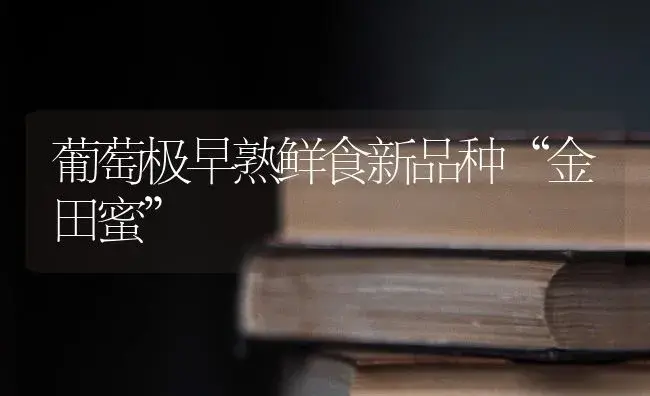 葡萄极早熟鲜食新品种“金田蜜” | 植物科普