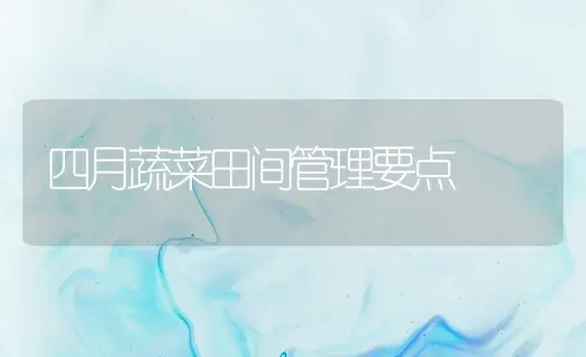 早丰３号豆角 | 植物百科