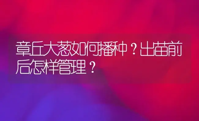 章丘大葱如何播种？出苗前后怎样管理？ | 植物百科