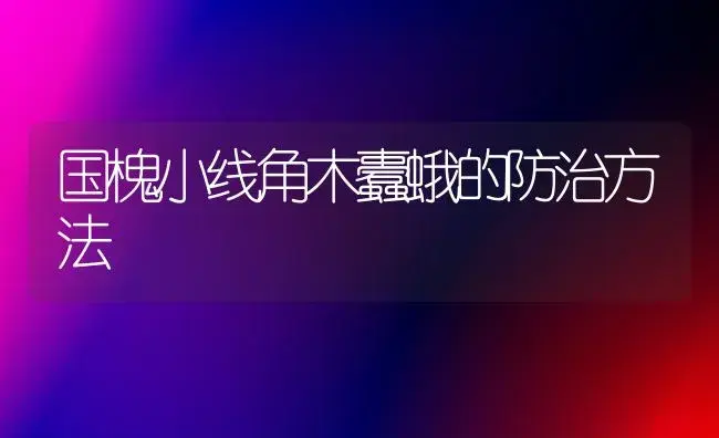 国槐小线角木蠹蛾的防治方法 | 植物知识