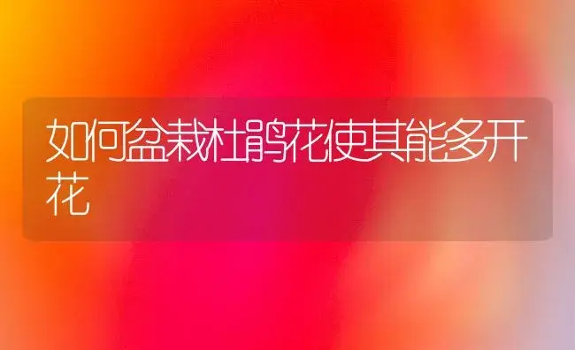 如何盆栽杜鹃花使其能多开花 | 植物知识