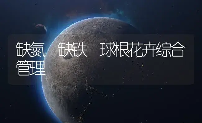 缺氮 缺铁 球根花卉综合管理 | 植物知识