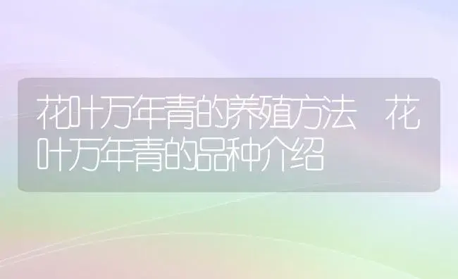 花叶万年青的养殖方法 花叶万年青的品种介绍 | 植物科普