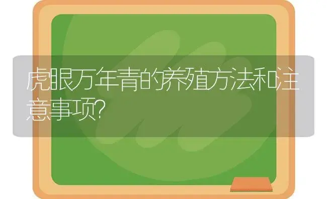 虎眼万年青的养殖方法和注意事项？ | 植物问答