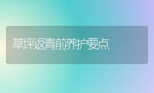 草坪返青前养护要点 | 植物科普
