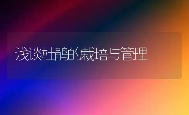 浅谈杜鹃的栽培与管理 | 植物知识