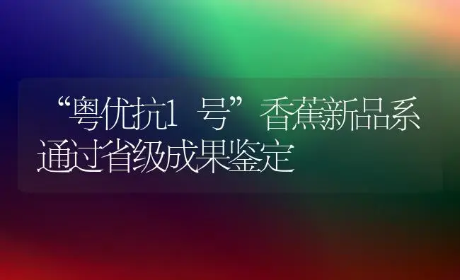 “粤优抗1号”香蕉新品系通过省级成果鉴定 | 植物科普