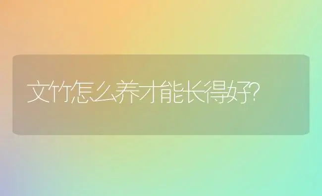 观音竹放在哪些房间风水较好？ | 植物问答