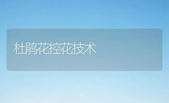 杜鹃花控花技术 | 植物科普
