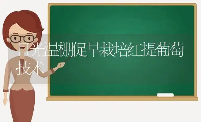 日光温棚促早栽培红提葡萄技术 | 植物百科