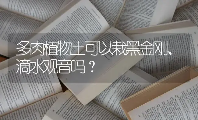 多肉植物土可以栽黑金刚、滴水观音吗？ | 植物问答