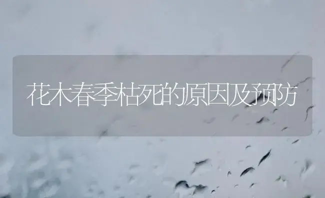 花木春季枯死的原因及预防 | 植物知识