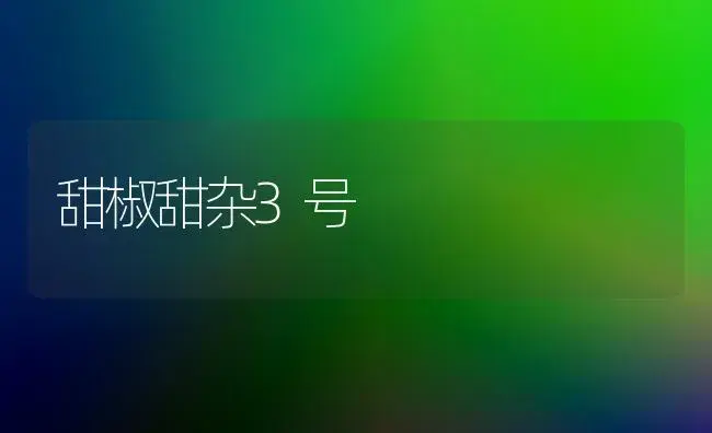 甜椒甜杂3号 | 植物百科