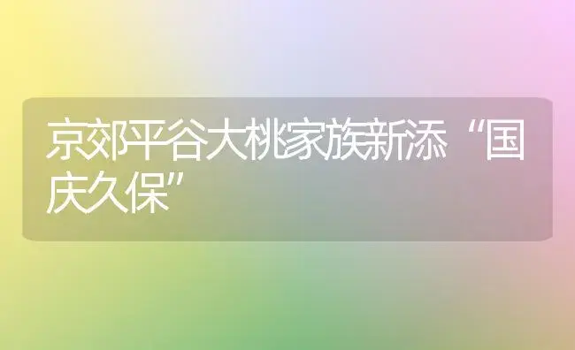 京郊平谷大桃家族新添“国庆久保” | 植物科普