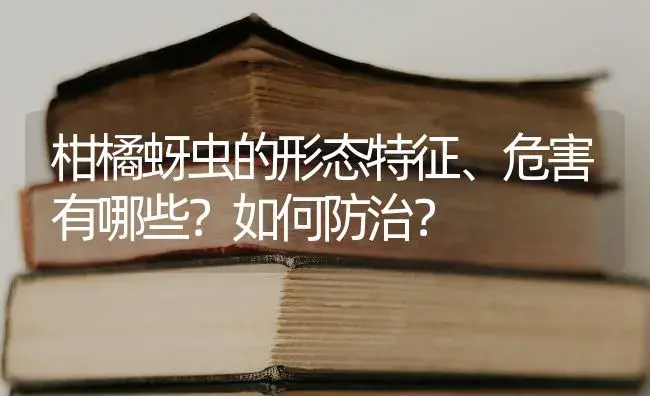 柑橘蚜虫的形态特征、危害有哪些？如何防治？ | 植物百科