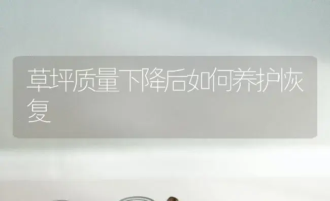 草坪质量下降后如何养护恢复 | 植物知识