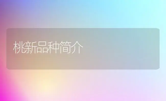 桃新品种简介 | 植物科普