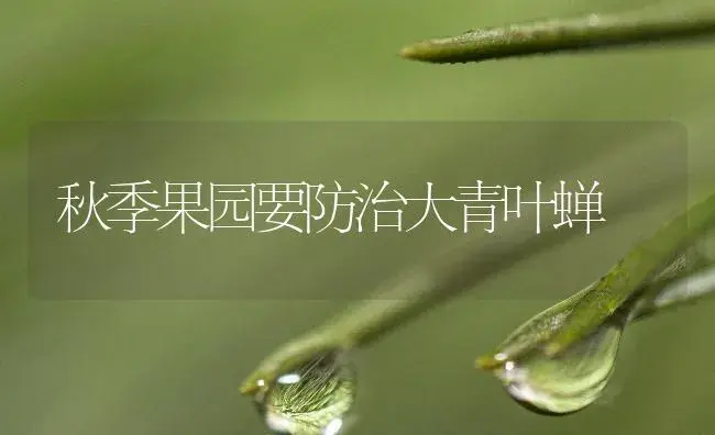 温室苦瓜嫁接栽培技术 | 植物百科