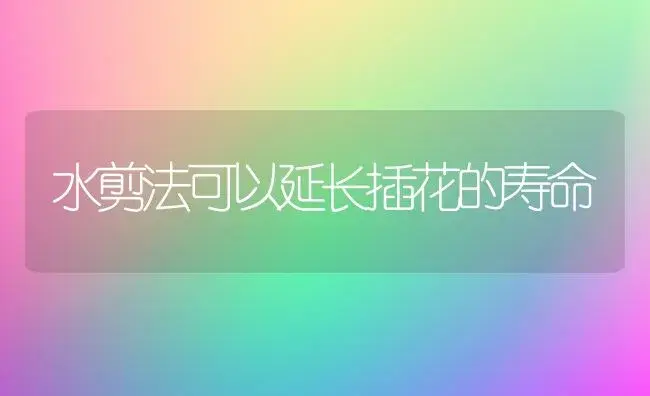 水剪法可以延长插花的寿命 | 植物知识