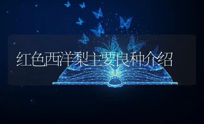 红色西洋梨主要良种介绍 | 植物百科