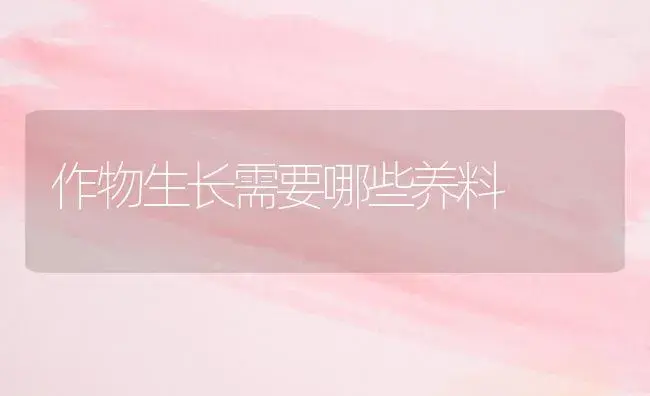 作物生长需要哪些养料 | 植物科普