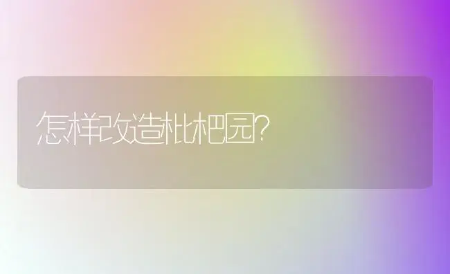 怎样改造枇杷园？ | 植物百科