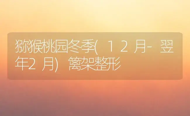 猕猴桃园冬季(12月-翌年2月)篱架整形 | 植物百科