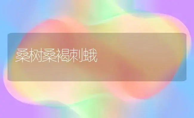 桑树桑褐刺蛾 | 植物知识